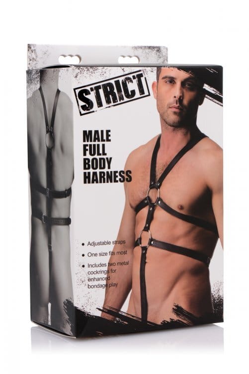 Strict male full body harness